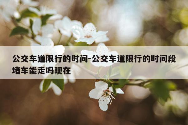 公交车道限行的时间-公交车道限行的时间段堵车能走吗现在