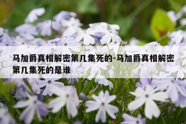马加爵真相解密第几集死的-马加爵真相解密第几集死的是谁