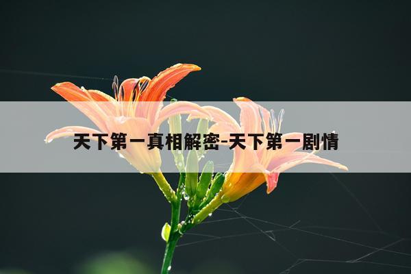 天下第一真相解密-天下第一剧情