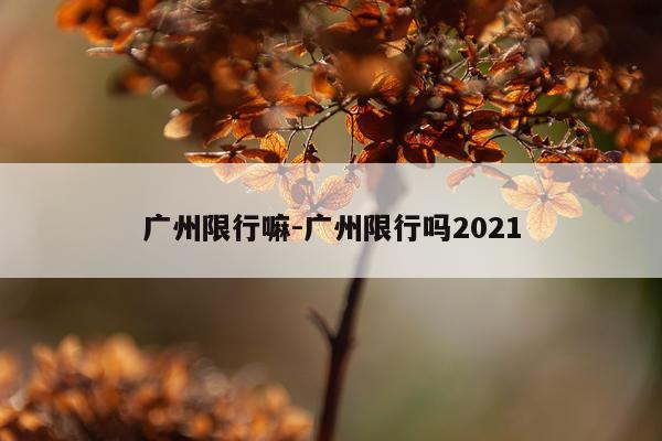 广州限行嘛-广州限行吗2021