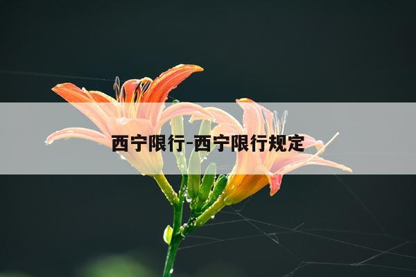 西宁限行-西宁限行规定