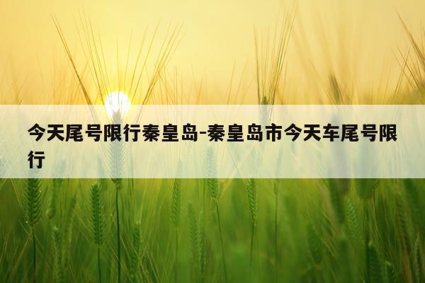 今天尾号限行秦皇岛-秦皇岛市今天车尾号限行