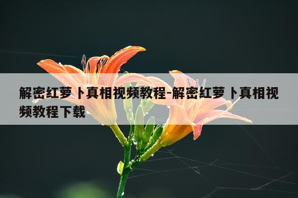 解密红萝卜真相视频教程-解密红萝卜真相视频教程下载