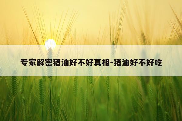 专家解密猪油好不好真相-猪油好不好吃
