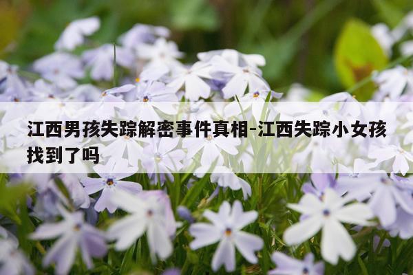 江西男孩失踪解密事件真相-江西失踪小女孩找到了吗