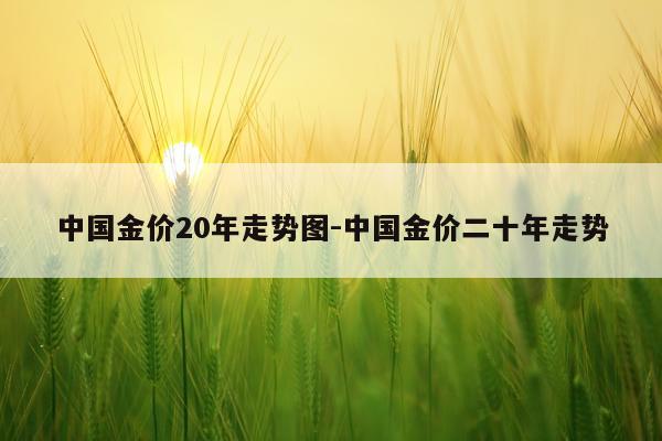 中国金价20年走势图-中国金价二十年走势