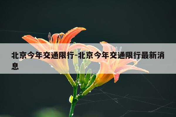北京今年交通限行-北京今年交通限行最新消息