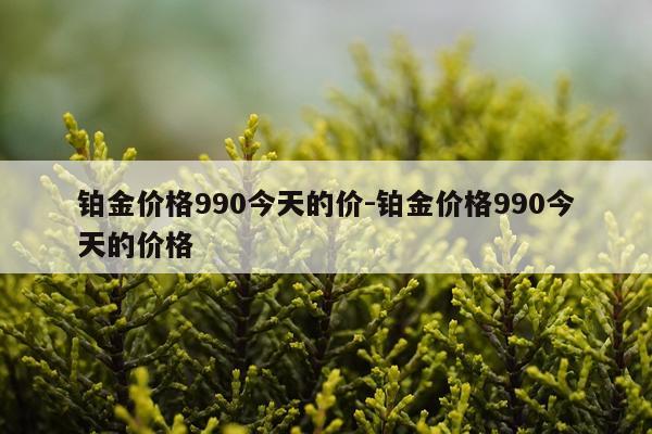 铂金价格990今天的价-铂金价格990今天的价格