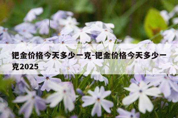 钯金价格今天多少一克-钯金价格今天多少一克2025