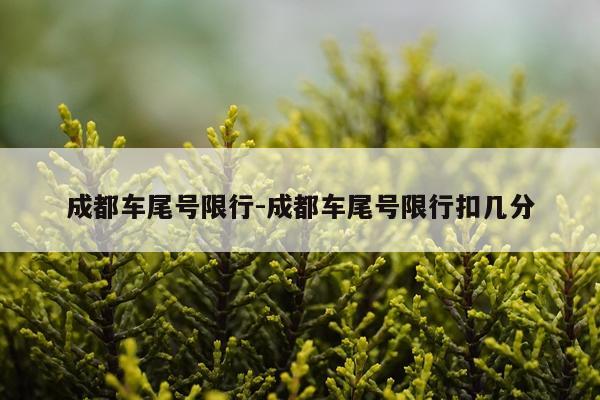 成都车尾号限行-成都车尾号限行扣几分