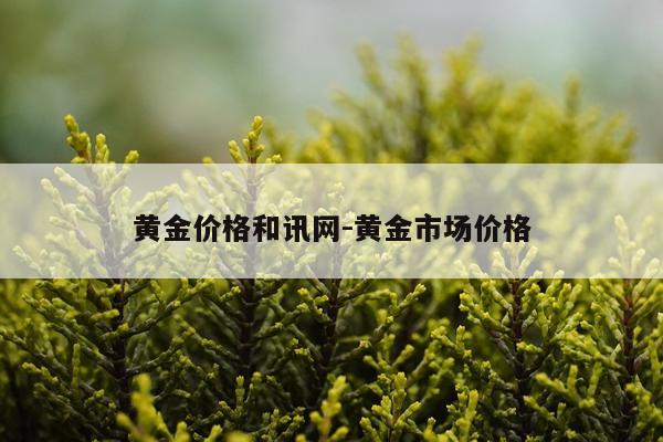 黄金价格和讯网-黄金市场价格