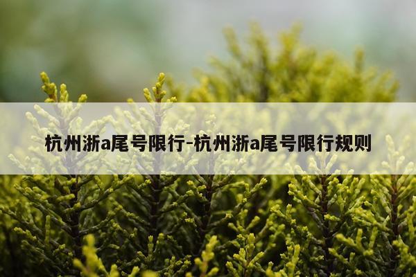 杭州浙a尾号限行-杭州浙a尾号限行规则