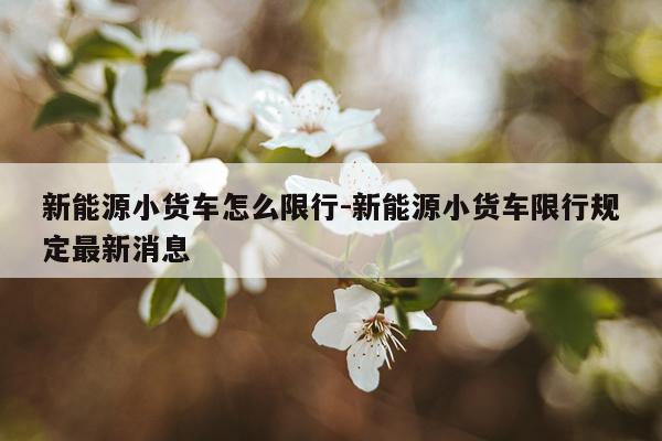 新能源小货车怎么限行-新能源小货车限行规定最新消息