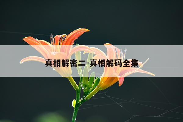 真相解密二-真相解码全集
