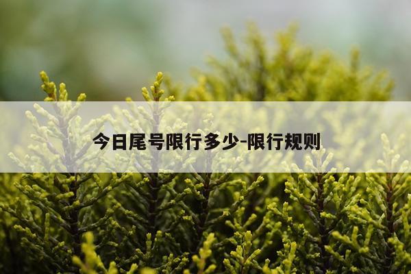 今日尾号限行多少-限行规则