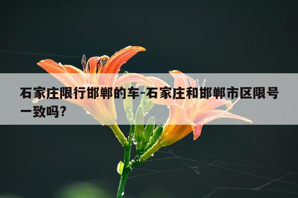 石家庄限行邯郸的车-石家庄和邯郸市区限号一致吗?