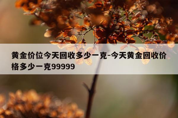 黄金价位今天回收多少一克-今天黄金回收价格多少一克99999