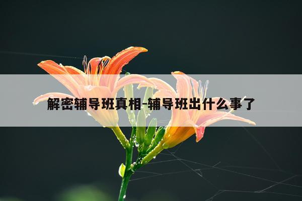 解密辅导班真相-辅导班出什么事了
