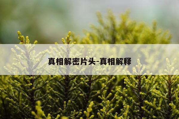 真相解密片头-真相解释