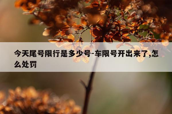 今天尾号限行是多少号-车限号开出来了,怎么处罚
