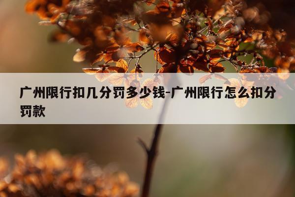 广州限行扣几分罚多少钱-广州限行怎么扣分罚款