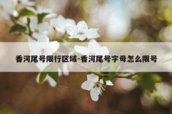 香河尾号限行区域-香河尾号字母怎么限号