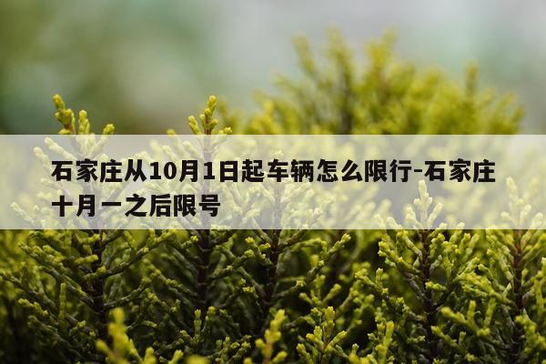 石家庄从10月1日起车辆怎么限行-石家庄十月一之后限号