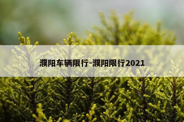 濮阳车辆限行-濮阳限行2021