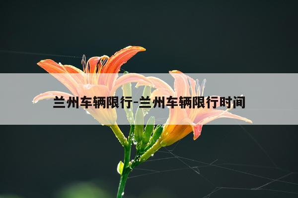 兰州车辆限行-兰州车辆限行时间