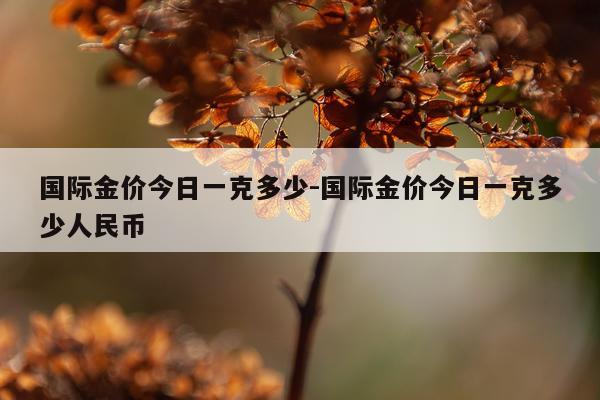国际金价今日一克多少-国际金价今日一克多少人民币
