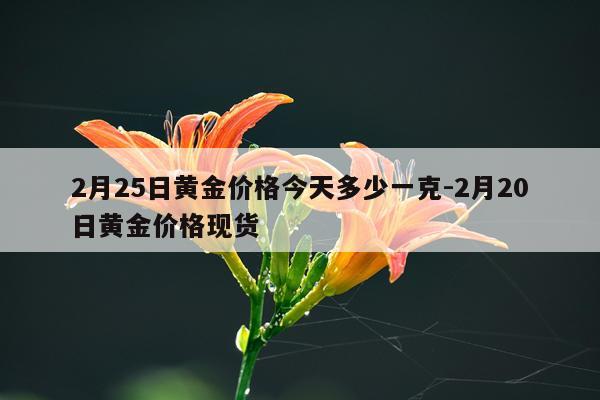 2月25日黄金价格今天多少一克-2月20日黄金价格现货