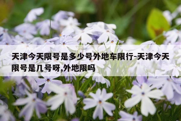 天津今天限号是多少号外地车限行-天津今天限号是几号呀,外地限吗