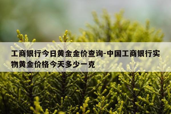 工商银行今日黄金金价查询-中国工商银行实物黄金价格今天多少一克