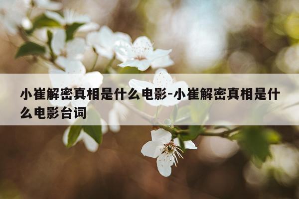 小崔解密真相是什么电影-小崔解密真相是什么电影台词