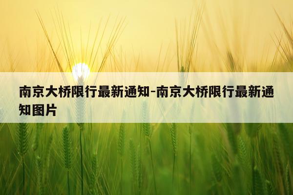 南京大桥限行最新通知-南京大桥限行最新通知图片
