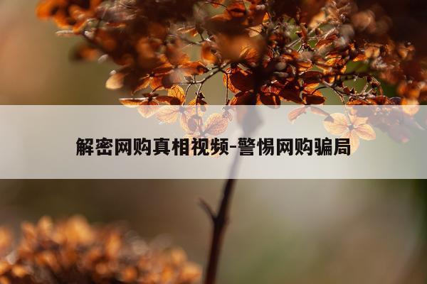 解密网购真相视频-警惕网购骗局