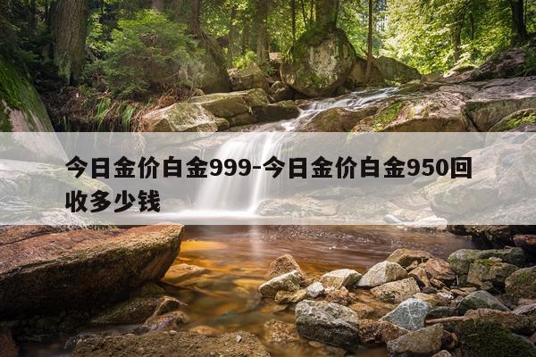 今日金价白金999-今日金价白金950回收多少钱