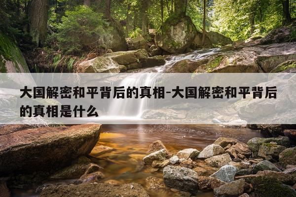 大国解密和平背后的真相-大国解密和平背后的真相是什么