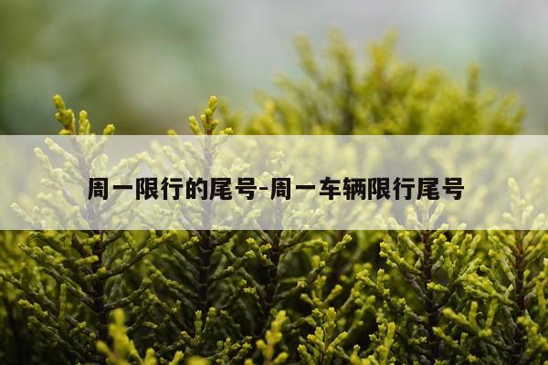 周一限行的尾号-周一车辆限行尾号