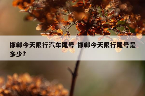 邯郸今天限行汽车尾号-邯郸今天限行尾号是多少?