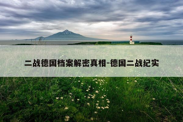 二战德国档案解密真相-德国二战纪实