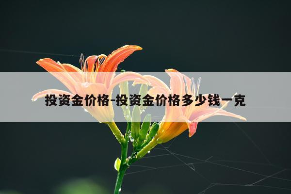投资金价格-投资金价格多少钱一克