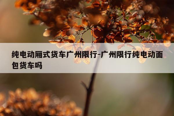 纯电动厢式货车广州限行-广州限行纯电动面包货车吗