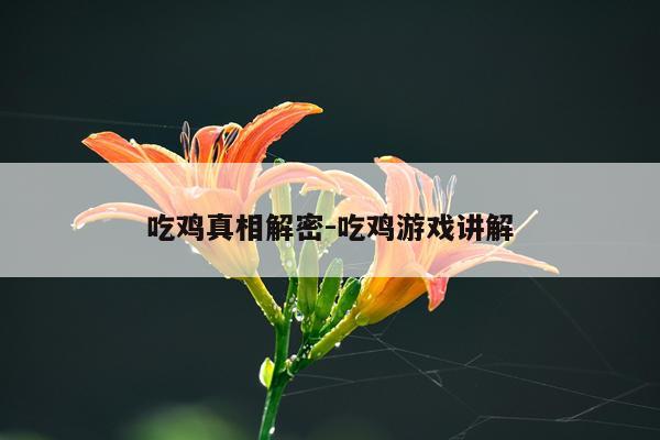 吃鸡真相解密-吃鸡游戏讲解