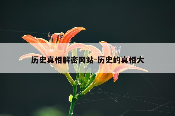 历史真相解密网站-历史的真相大