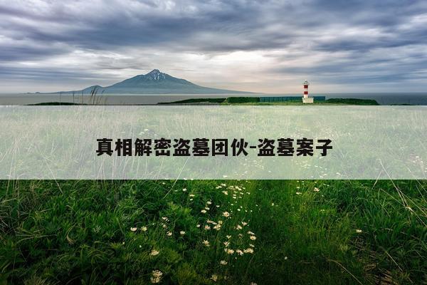 真相解密盗墓团伙-盗墓案子
