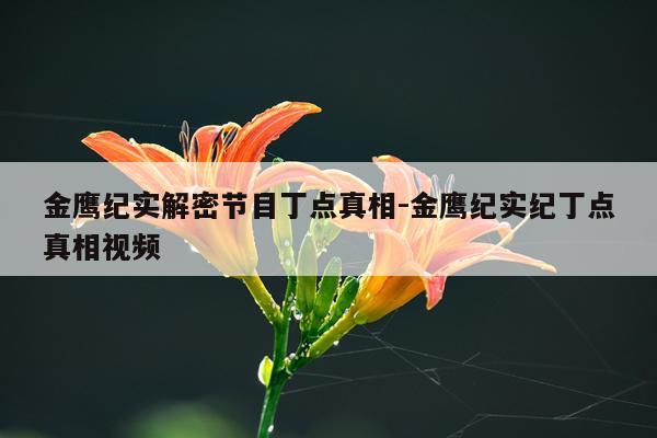 金鹰纪实解密节目丁点真相-金鹰纪实纪丁点真相视频