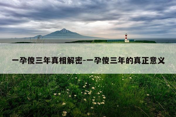 一孕傻三年真相解密-一孕傻三年的真正意义