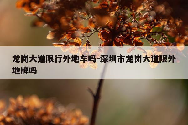 龙岗大道限行外地车吗-深圳市龙岗大道限外地牌吗