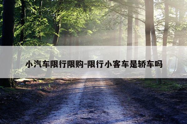 小汽车限行限购-限行小客车是轿车吗
